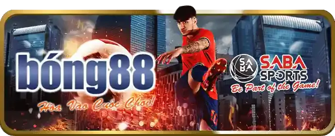 Giao diện thân thiện, dễ sử dụng trên mọi thiết bị